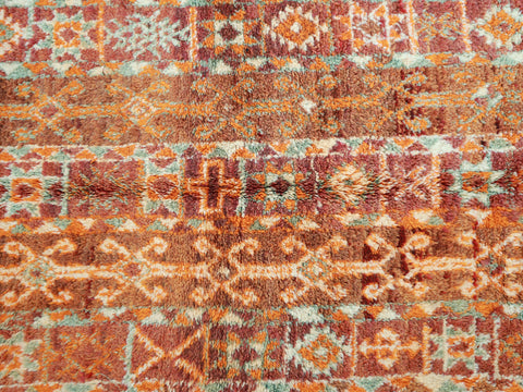 Alissya Vintage Moroccan Rug  5'8" x11'4"