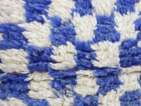 Tizemt Moroccan Rug 3'2" x 9'4"