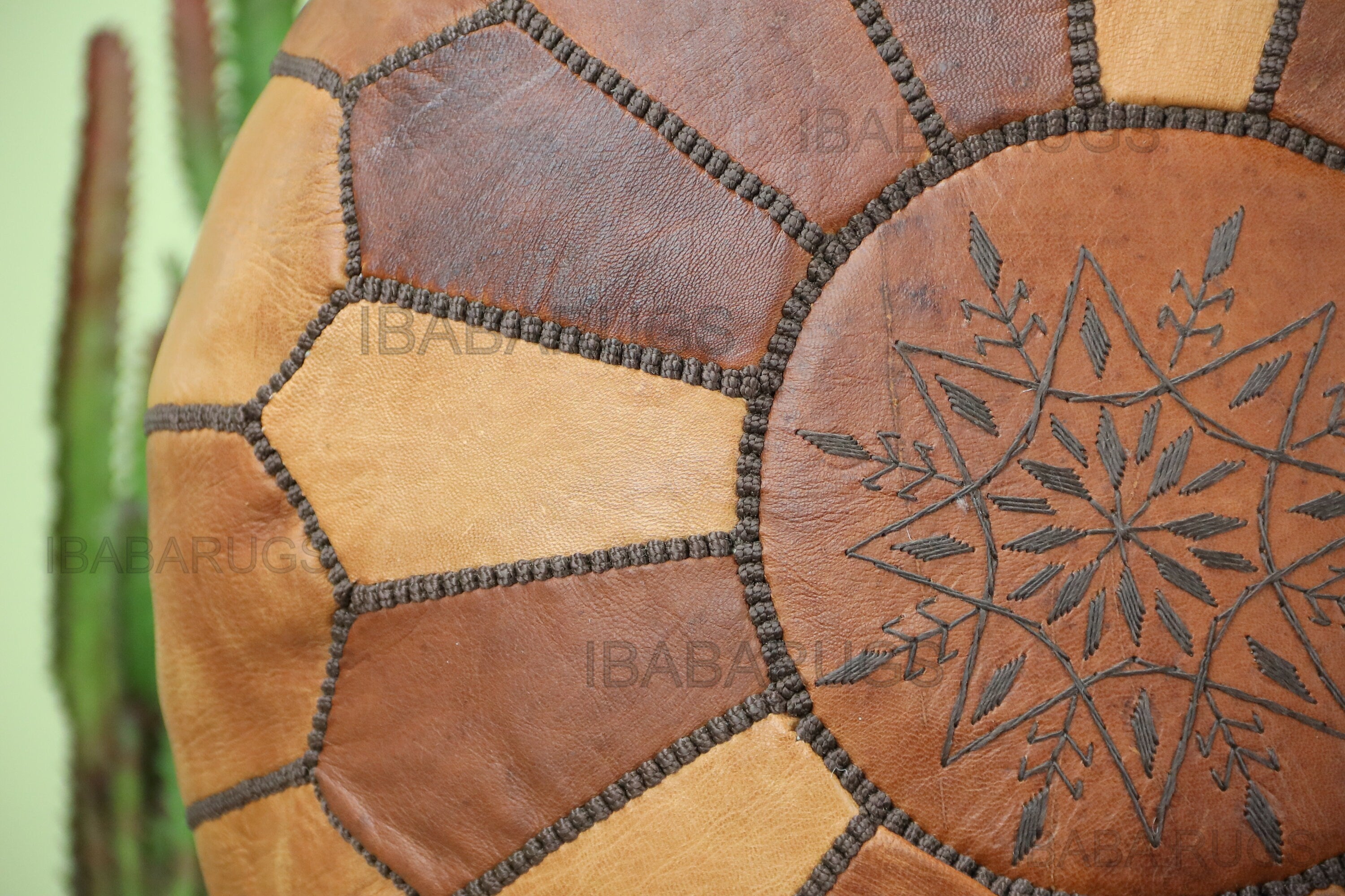 6